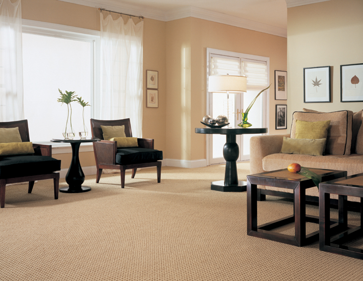 Limpeza profissional de carpetes em ambiente residencial